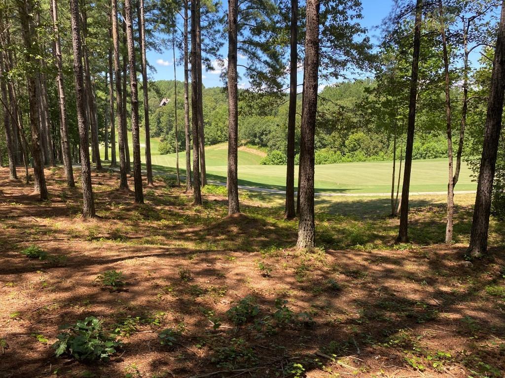 128 Long Ridge Road Sunset, SC 29685 - Photo 1 of 1