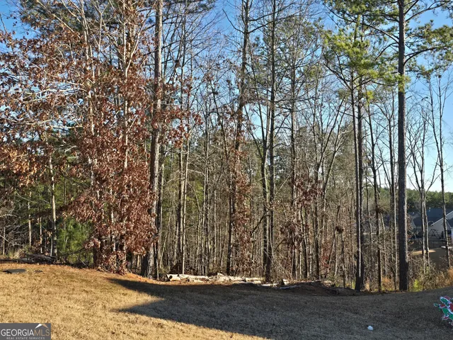 a view of a backyard of the house