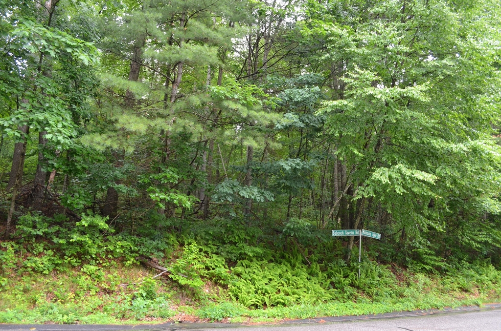 Lot 4 Babcock Tavern Road Ware, MA 01082 - Photo 2 of 4