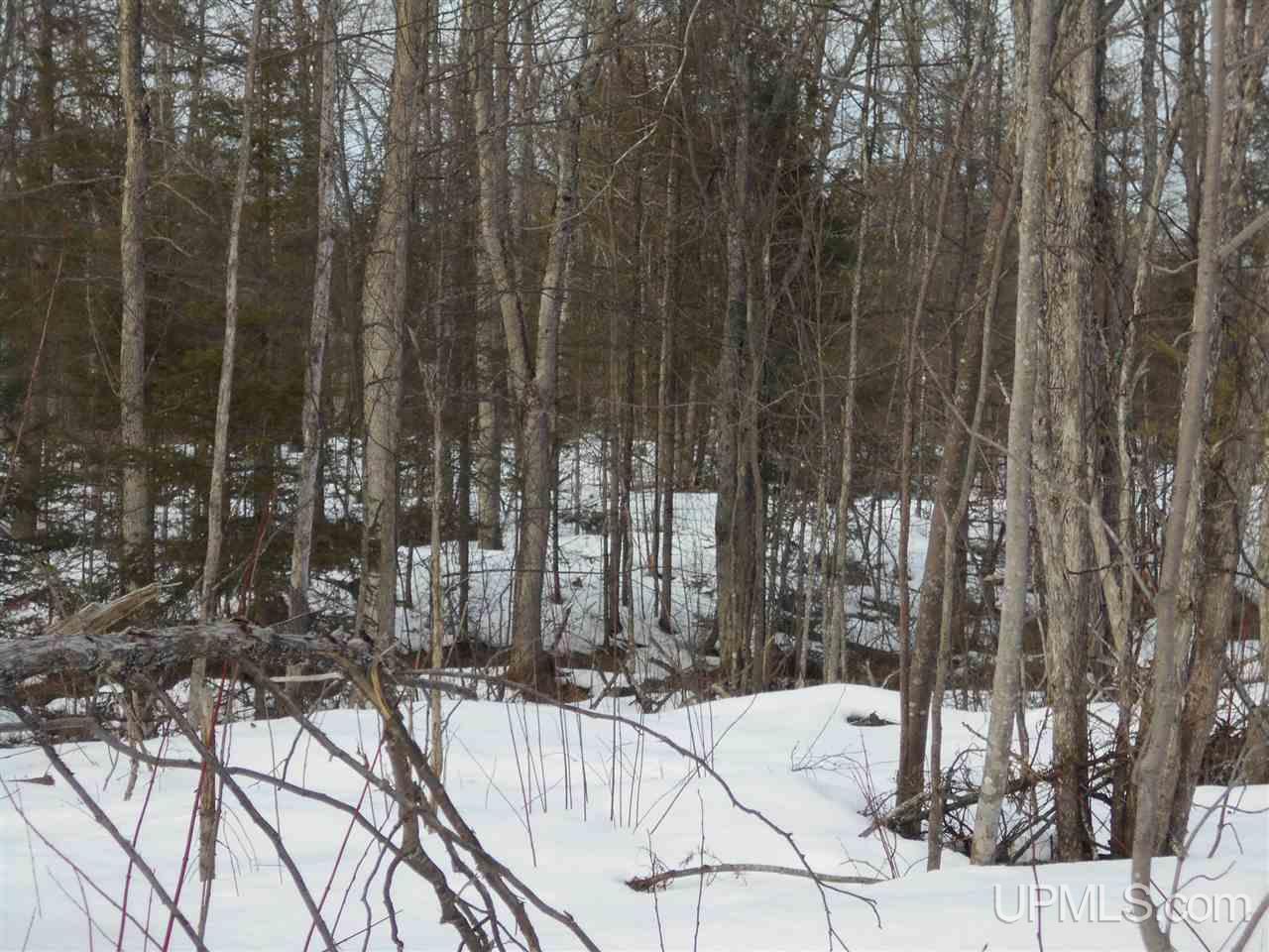 Tbd Tapiola Road Chassell, MI 49916 - Photo 6 of 14
