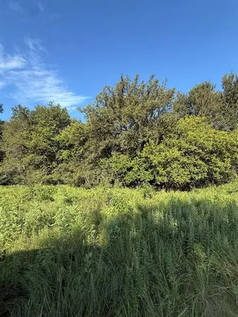 a view of a field of grass and trees