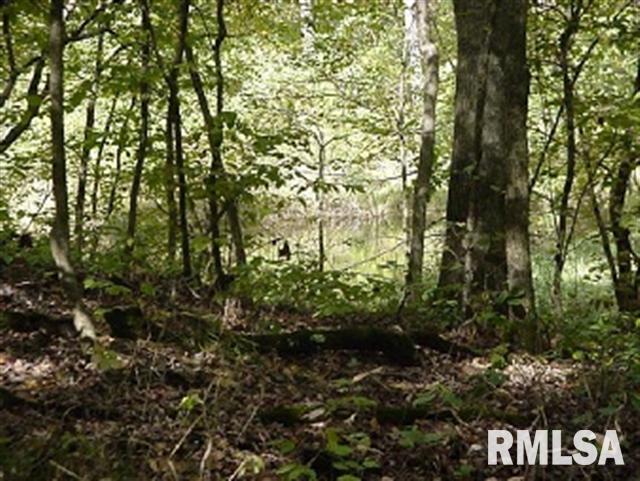 1454 East 2253rd Lane Camp Point, IL 62320 - Photo 1 of 6 Gallery Image 1