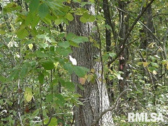 1454 East 2253rd Lane Camp Point, IL 62320 - Photo 4 of 6 Gallery Image 4