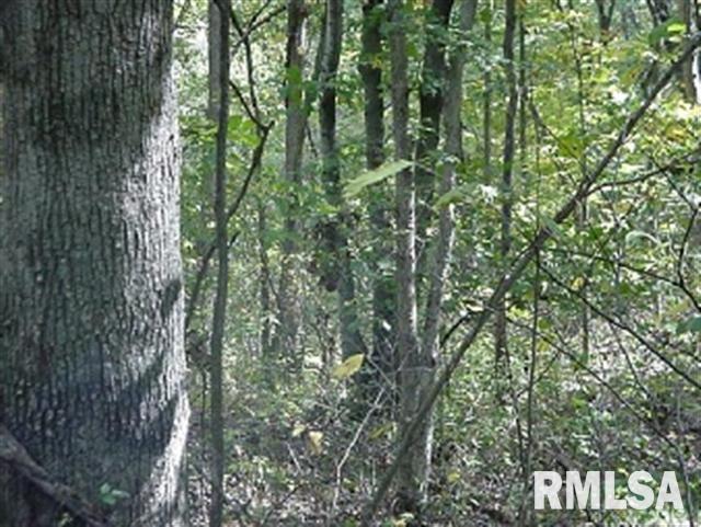 1454 East 2253rd Lane Camp Point, IL 62320 - Photo 5 of 6 Gallery Image 5