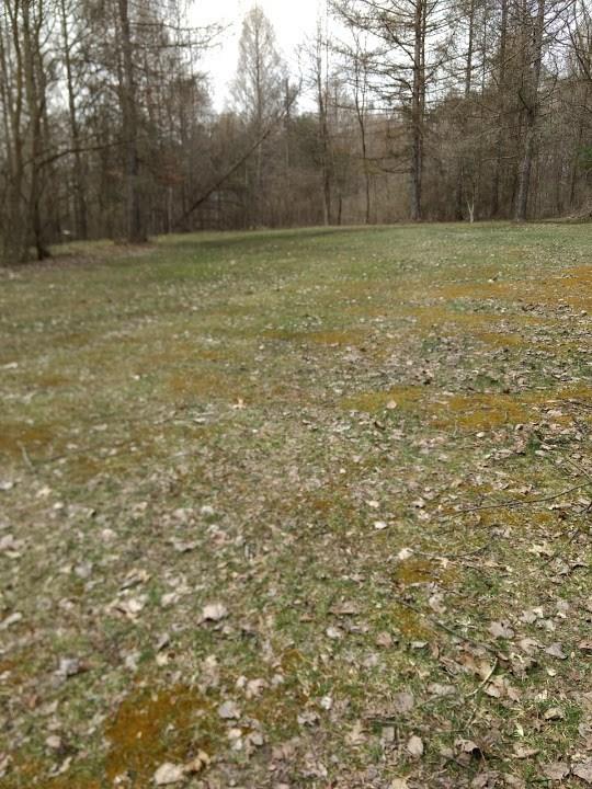 291 Pizor Road Jackson Center, PA 16133 - Photo 17 of 19 Back yard