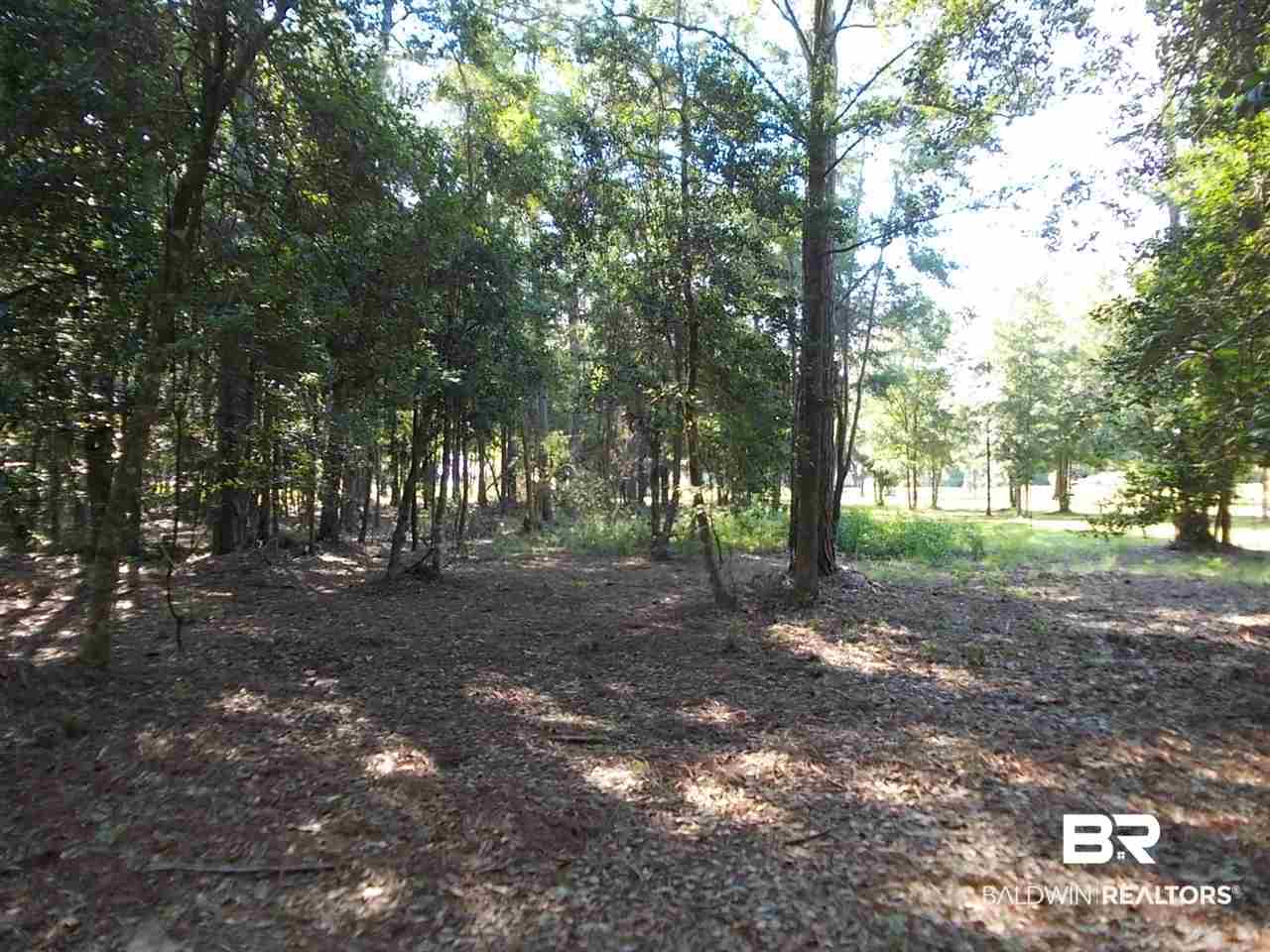 0 Ernest Patterson Road Robertsdale, AL 36567 - Photo 10 of 14