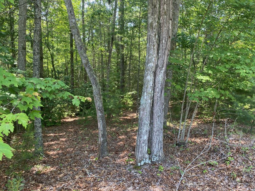 Lot 34 Point Overlook Trail Murphy, NC 28906 - Photo 2 of 17
