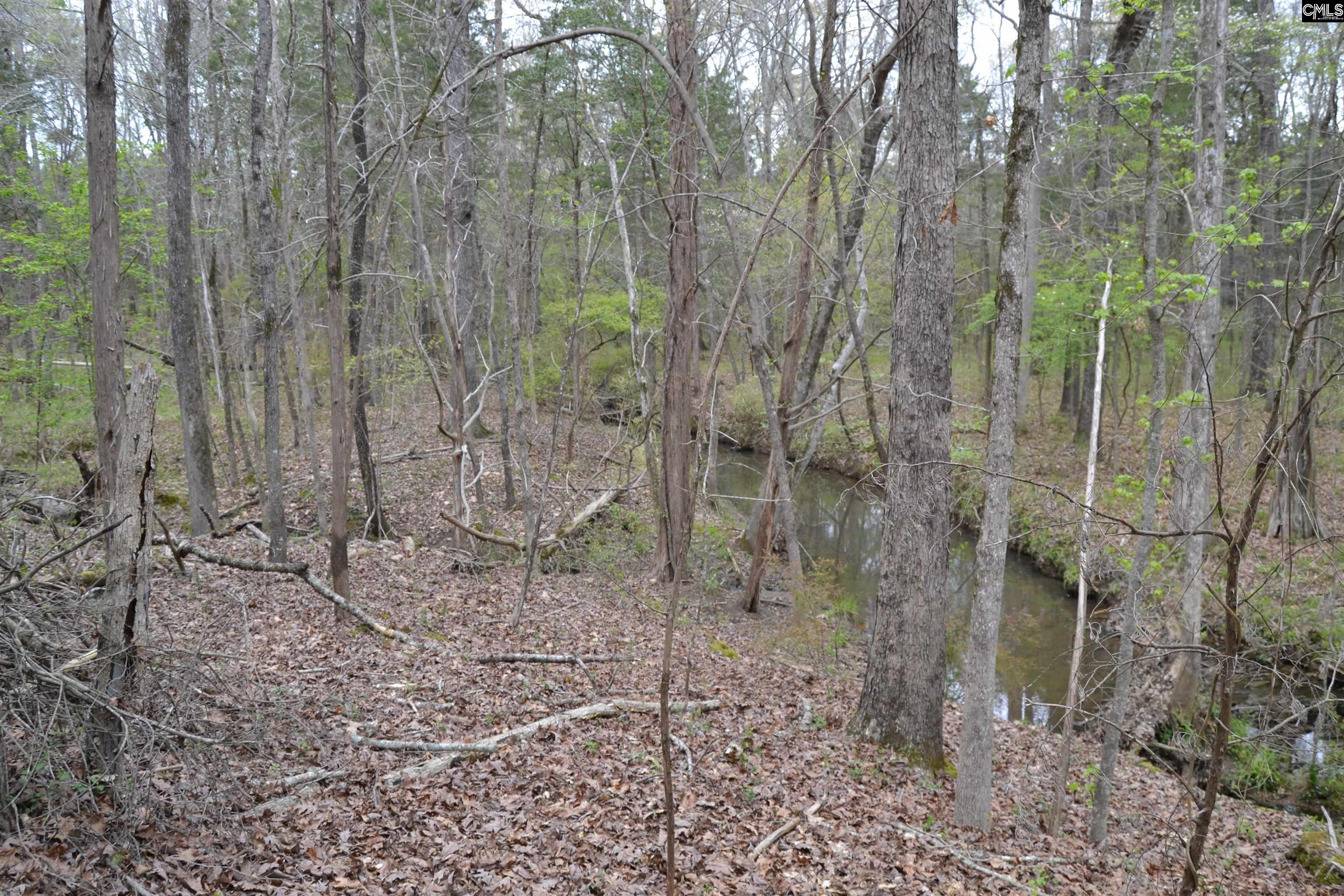 1309 Farming Creek Road Irmo, SC 29063 - Photo 4 of 8