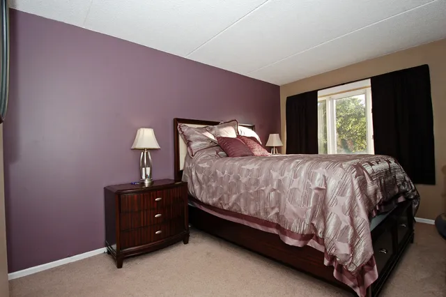 $310,000 | 104 North Pine Avenue, Unit 302, Arlington Heights, IL 60004