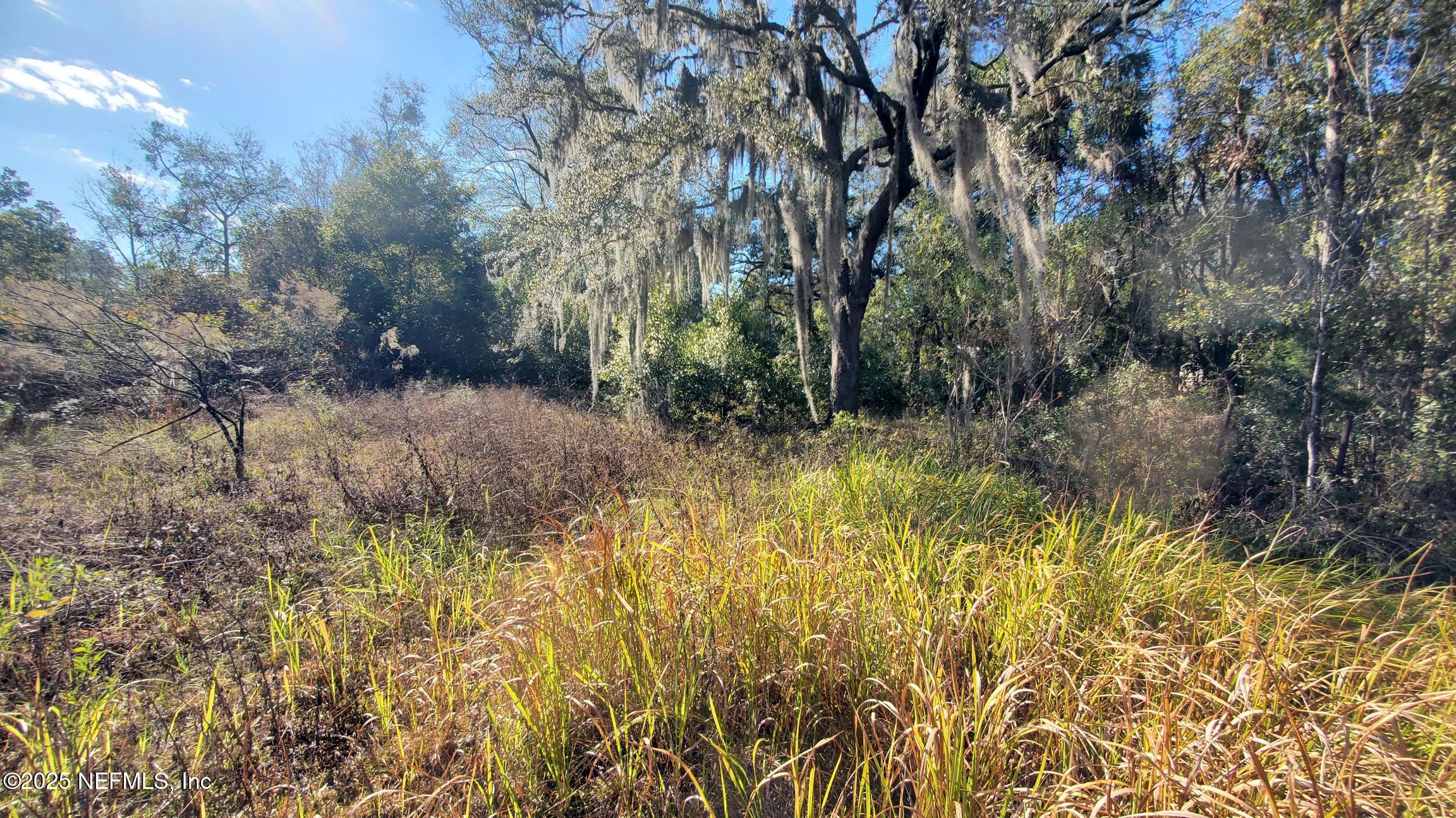 127 Cherokee Avenue Interlachen, FL 32148 - Photo 7 of 10 127 Cherokee Ave