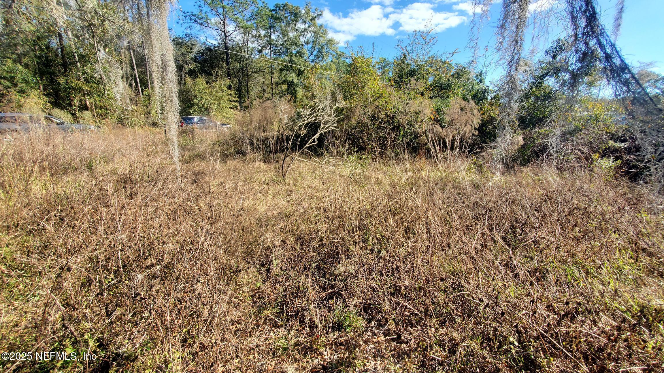 127 Cherokee Avenue Interlachen, FL 32148 - Photo 9 of 10 127 Cherokee Ave