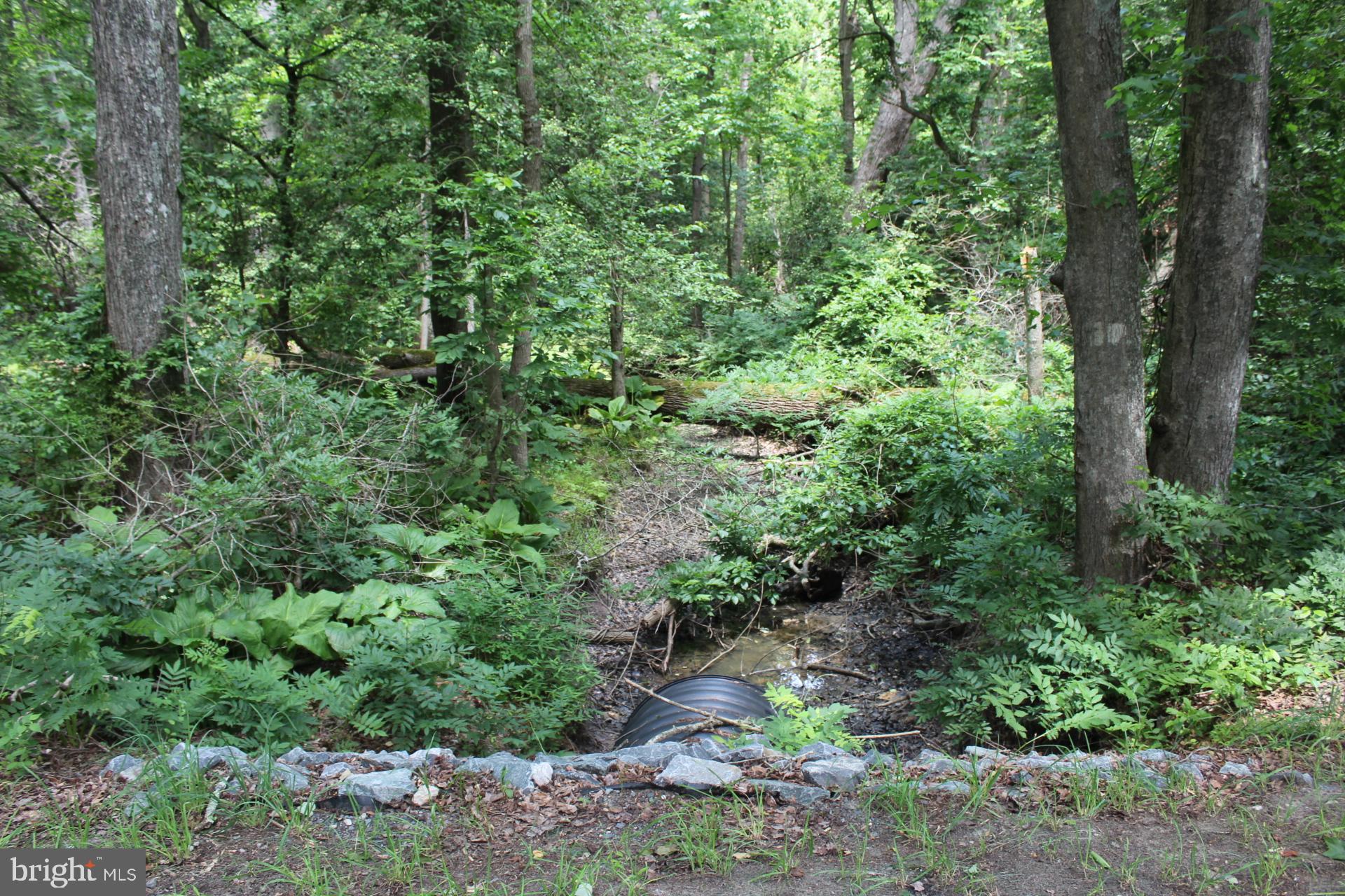Lot 3 Jackson Road Salisbury, MD 21804 - Photo 7 of 20