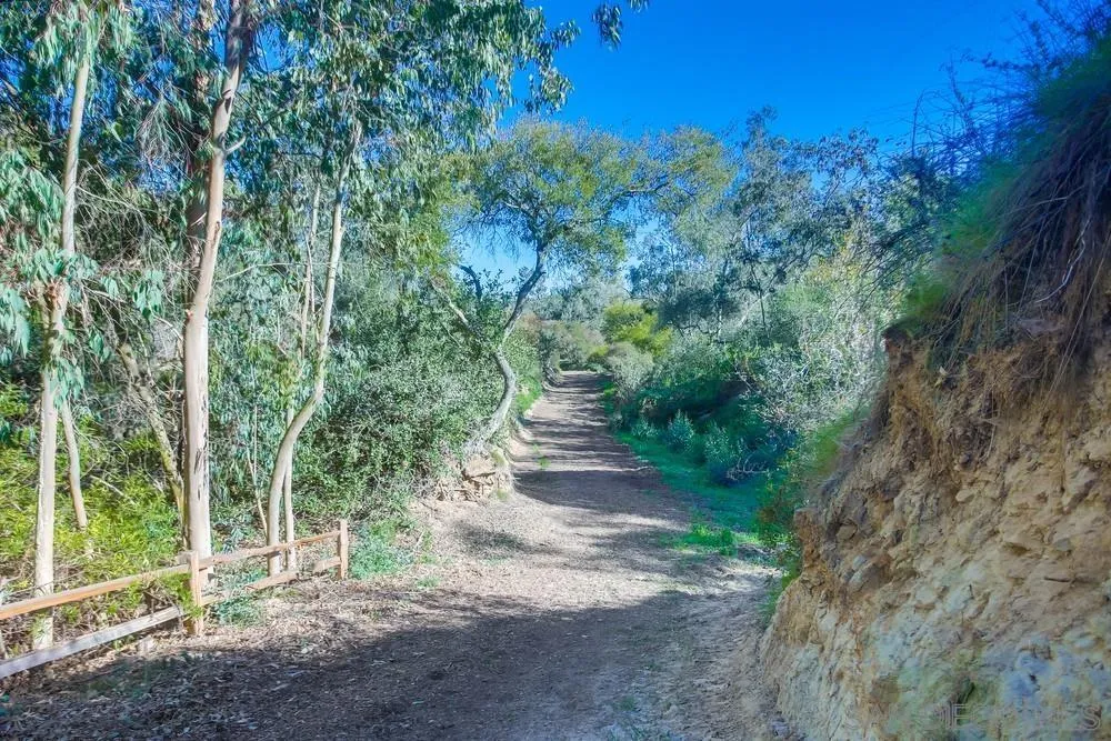 5653 Linea Del Cielo Rancho Santa Fe, CA 92067 - Photo 34 of 46 a view of a yard with a tree