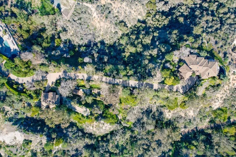 5653 Linea Del Cielo Rancho Santa Fe, CA 92067 - Photo 46 of 46 a view of flowers in a garden