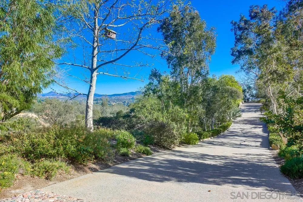 5653 Linea Del Cielo Rancho Santa Fe, CA 92067 - Photo 7 of 46 a view of a yard with plants