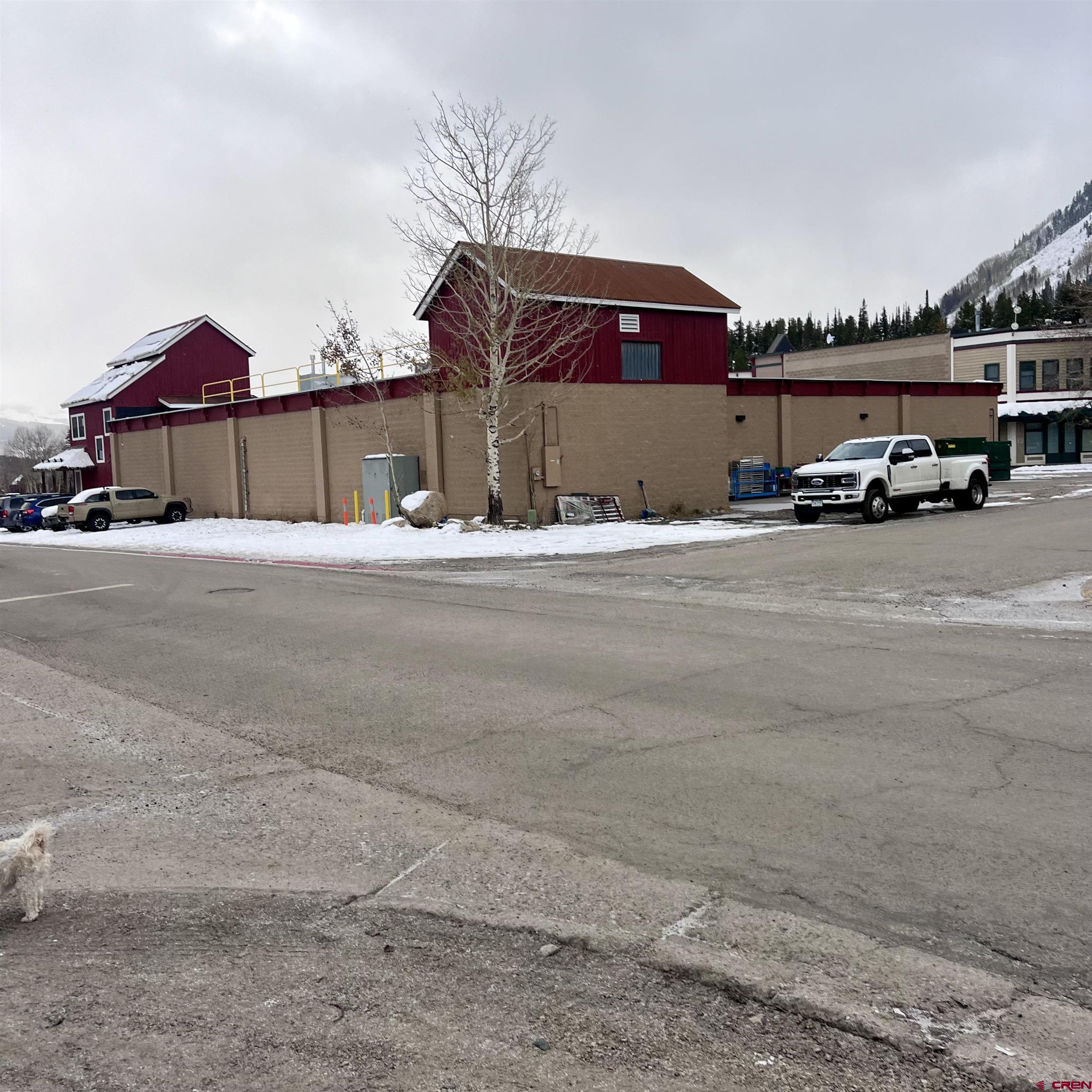 422 Belleview Avenue Crested Butte, CO 81224 - Photo 10 of 37