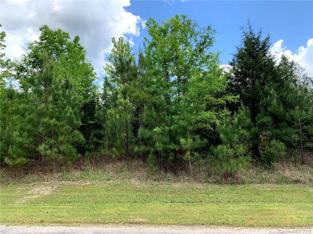 1.69-acres Ballindam Road, Unit 19 Chester, SC 29706 - Photo 1 of 2 Gallery Image 1