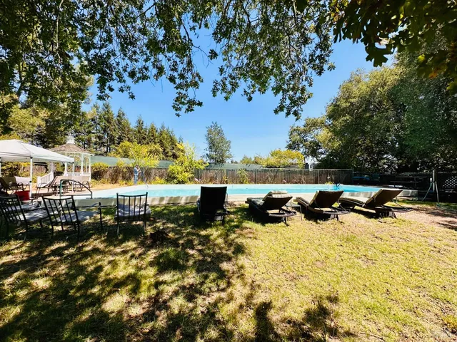 a view of a forest filled with trees