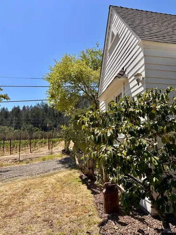 a view of a yard with plants and a bench