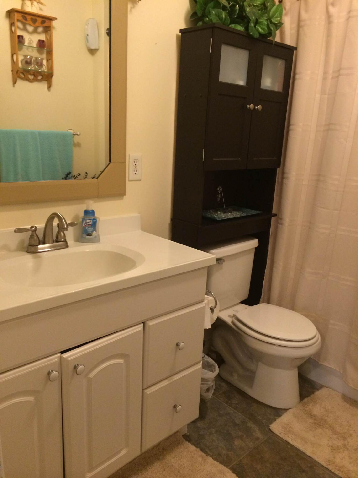 5555 Buck Ward Road Baker, FL 32531 - Photo 23 of 68 a bathroom with a sink toilet and mirror