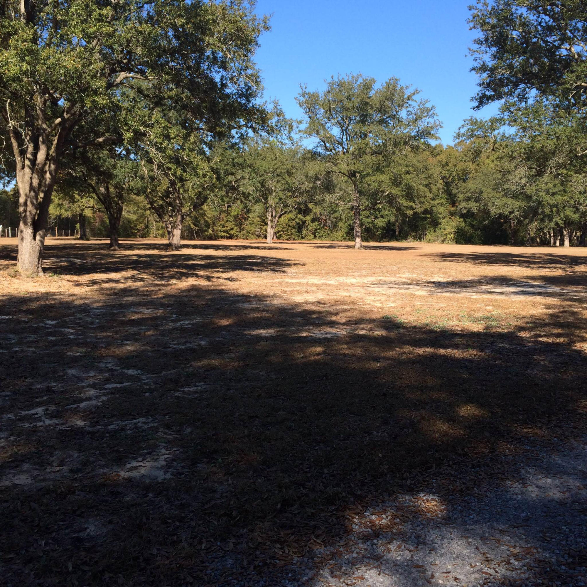 5555 Buck Ward Road Baker, FL 32531 - Photo 49 of 68 CLEARED AREA1