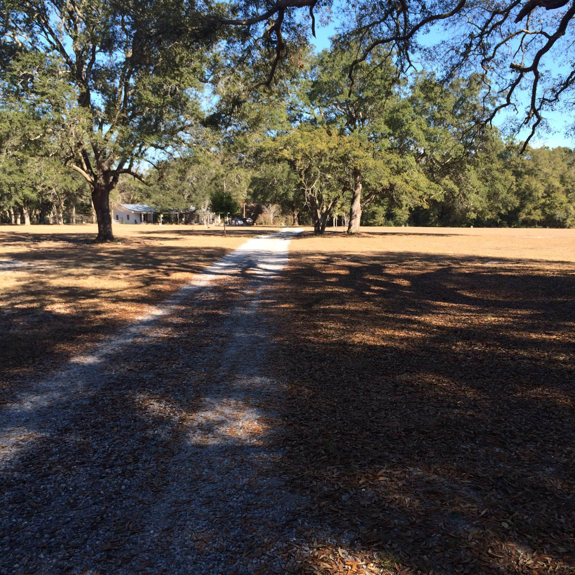5555 Buck Ward Road Baker, FL 32531 - Photo 5 of 68 a view of road and trees