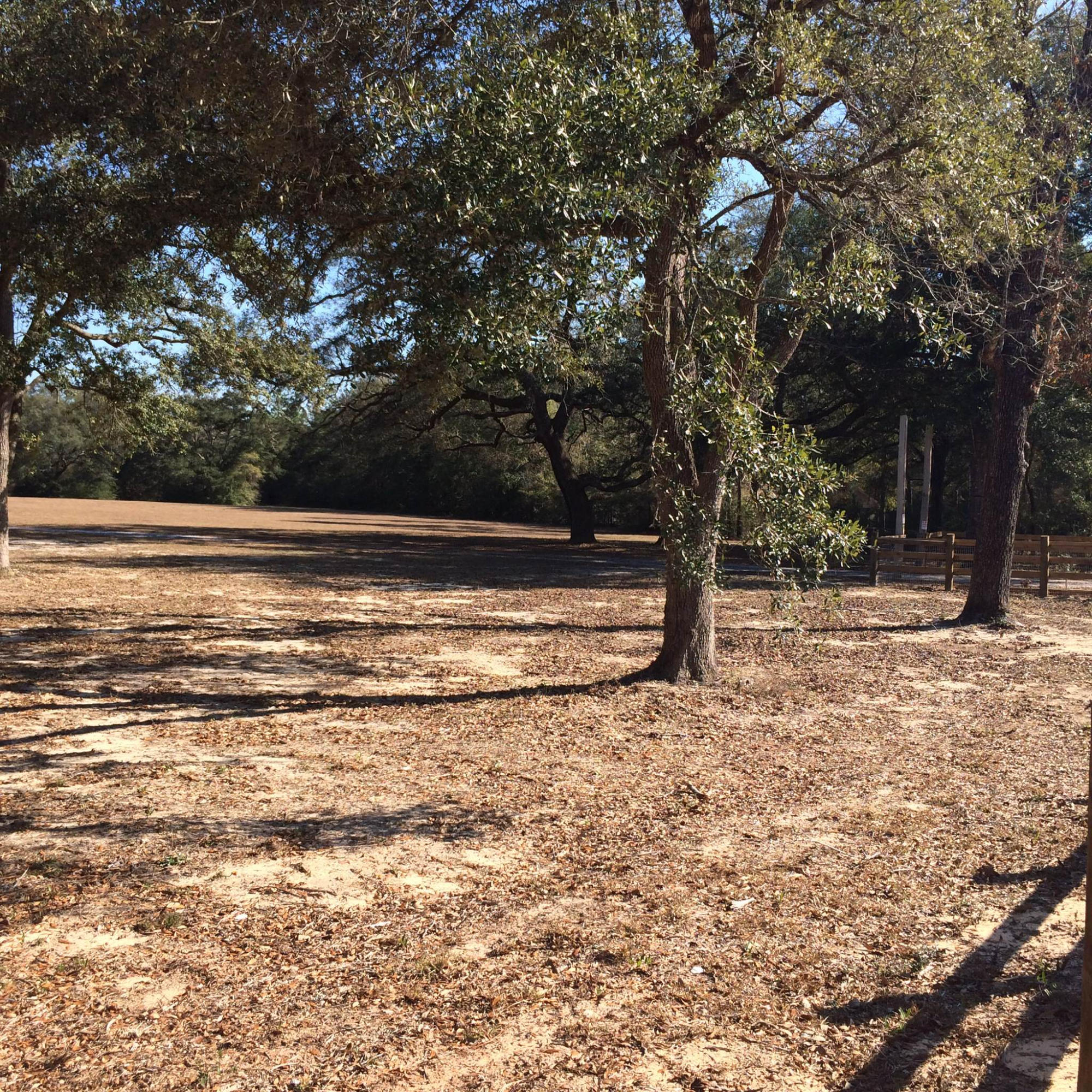 5555 Buck Ward Road Baker, FL 32531 - Photo 52 of 68 a view of outdoor space with trees