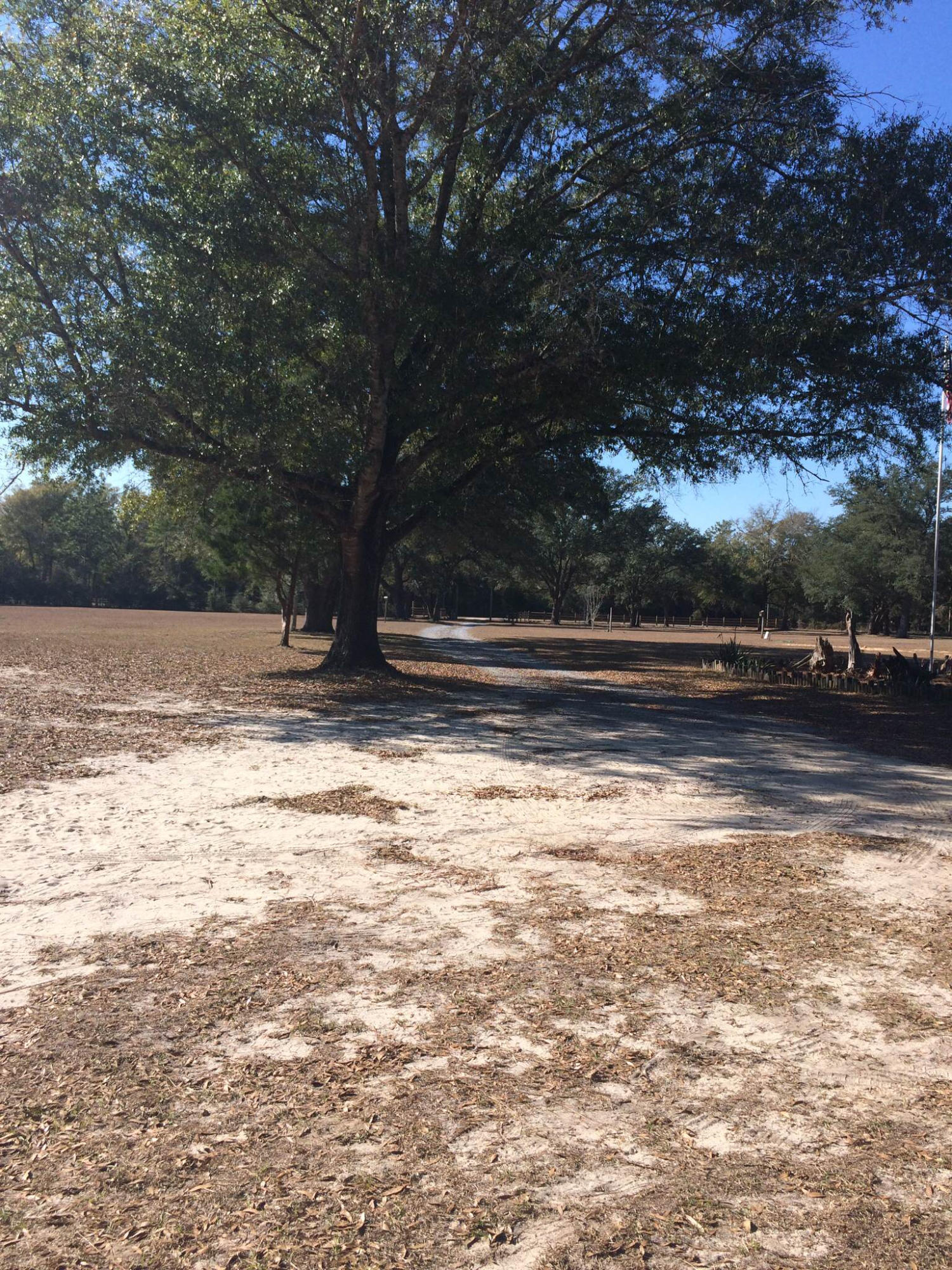 5555 Buck Ward Road Baker, FL 32531 - Photo 54 of 68 DRIVEWAY FROM HOUSE