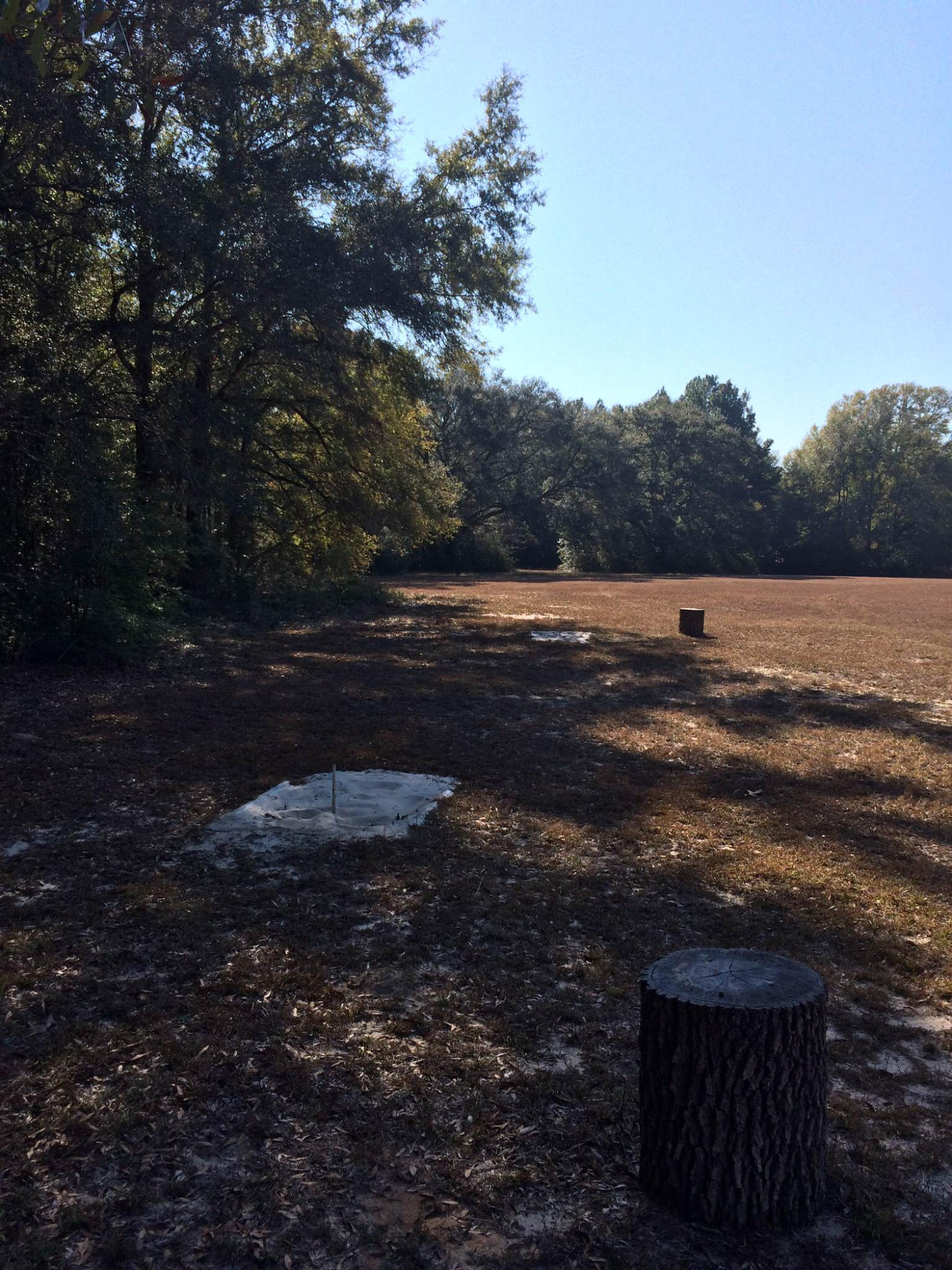 5555 Buck Ward Road Baker, FL 32531 - Photo 58 of 68 a view of a lake with beach and green space