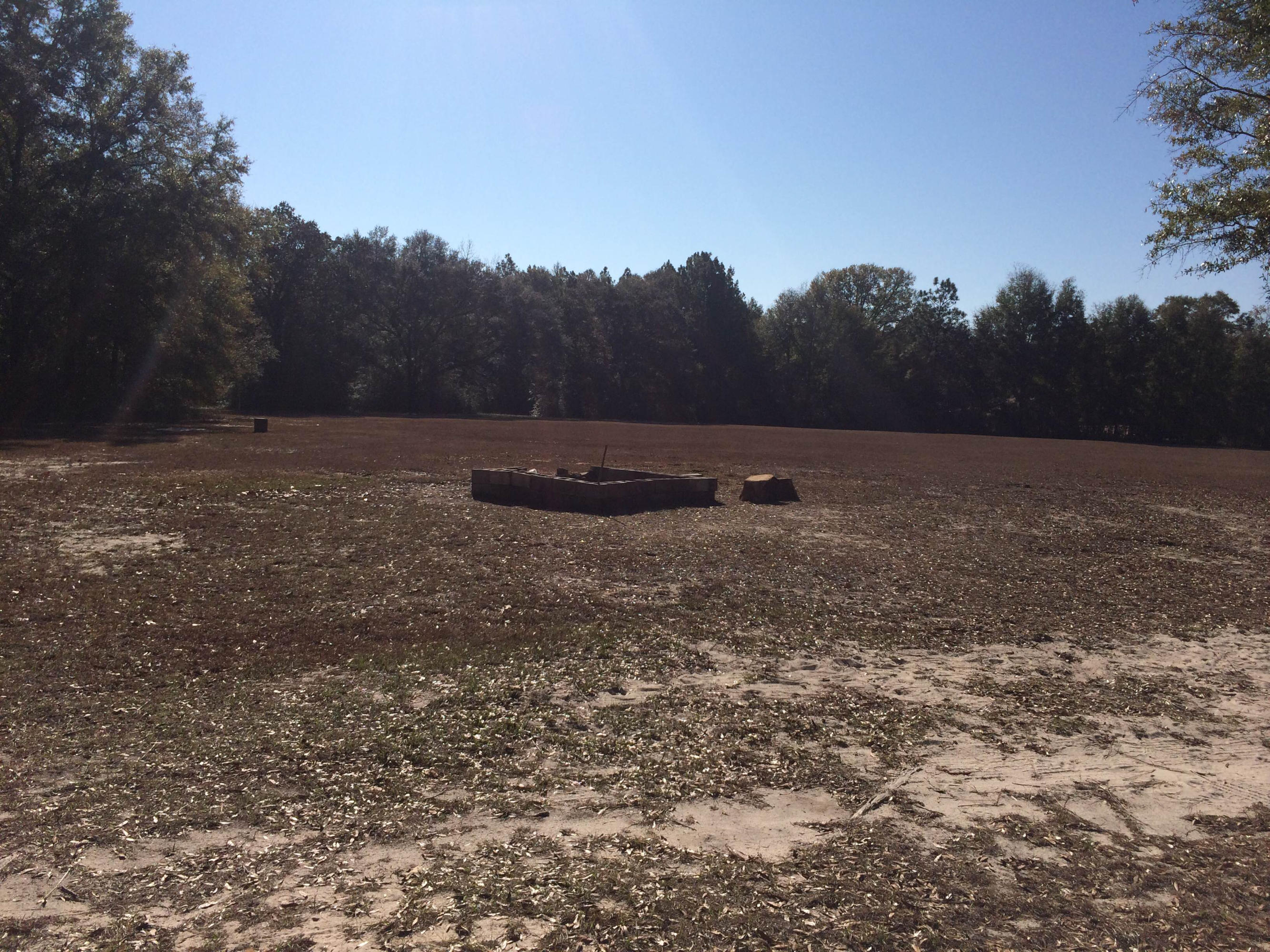 5555 Buck Ward Road Baker, FL 32531 - Photo 61 of 68 a view of outdoor space with green field and trees