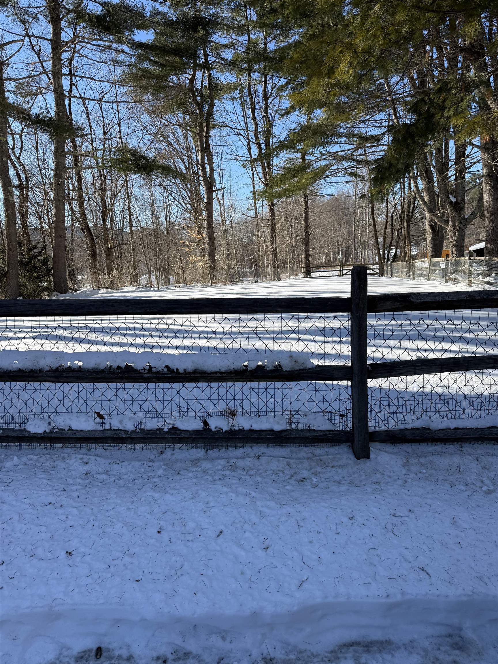 44 Old Alstead Road Charlestown, NH 03603 - Photo 3 of 24