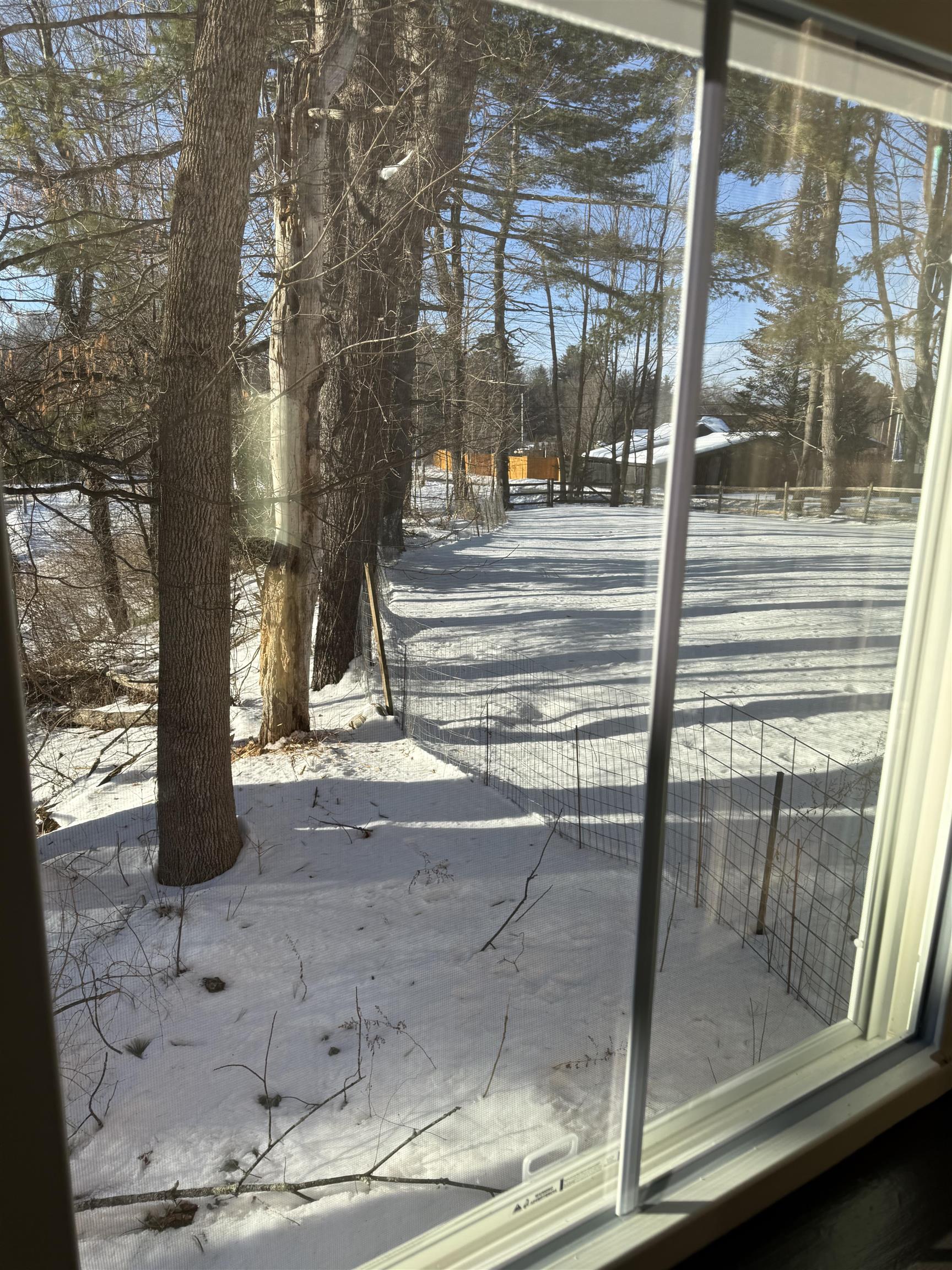 44 Old Alstead Road Charlestown, NH 03603 - Photo 38 of 50