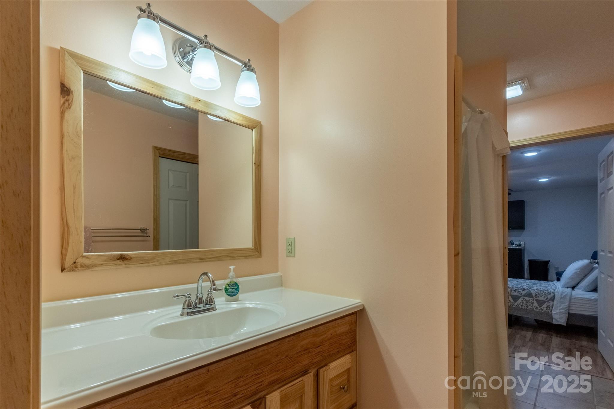 980 South River Road Sylva, NC 28779 - Photo 40 of 41 a en suite bathroom with a sink and a mirror