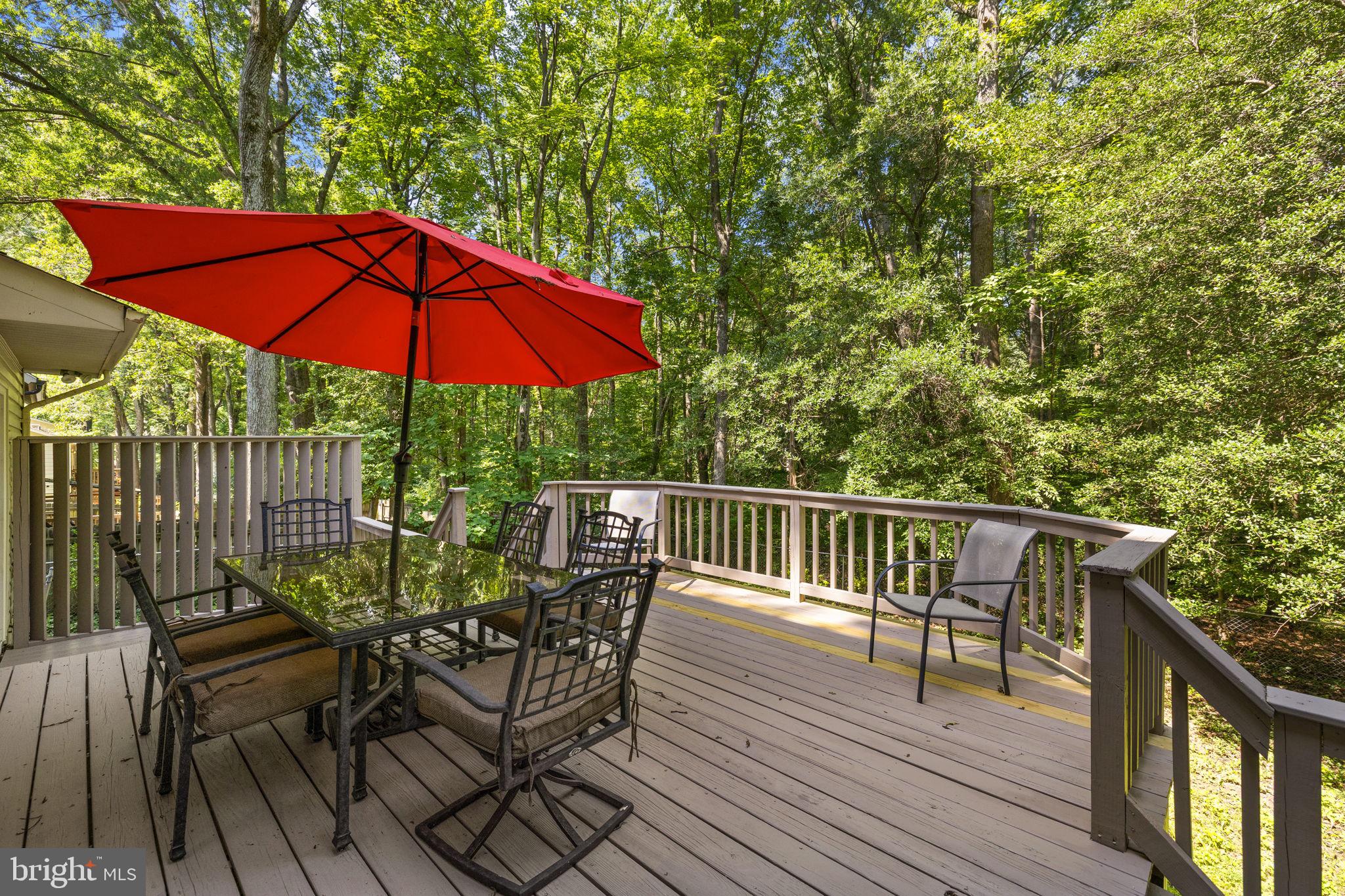 11822 Rutherford Drive Fredericksburg, VA 22407 - Photo 31 of 37