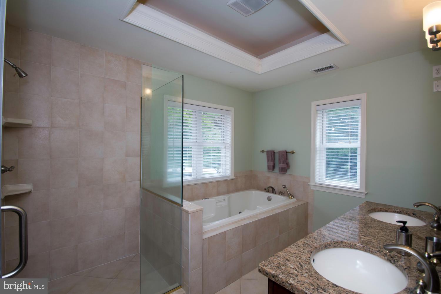 11501 Crows Nest Road Clarksville, MD 21029 - Photo 35 of 60 Master bath soaking tub