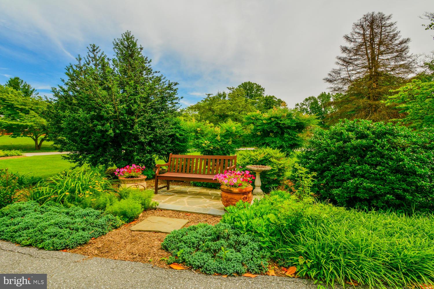 Peaceful setting