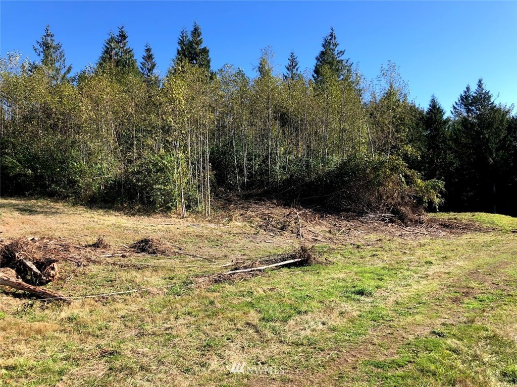 7673 Blossomberry Lane Sedro-Woolley, WA 98284 - Photo 14 of 19 Gallery Image 14