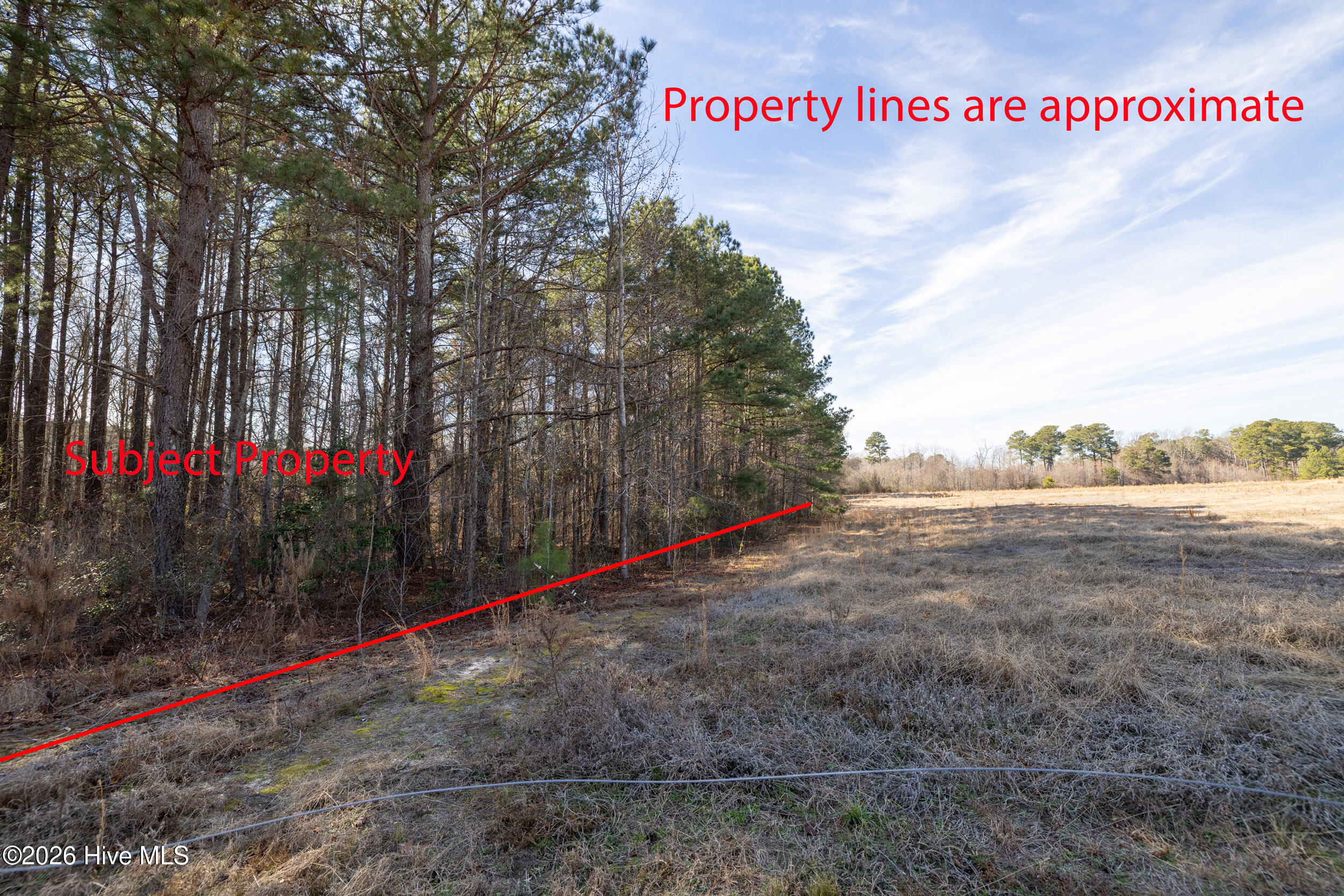 0 Lassiter Pond Road Four Oaks, NC 27524 - Photo 11 of 23 HN9A6346_pro2