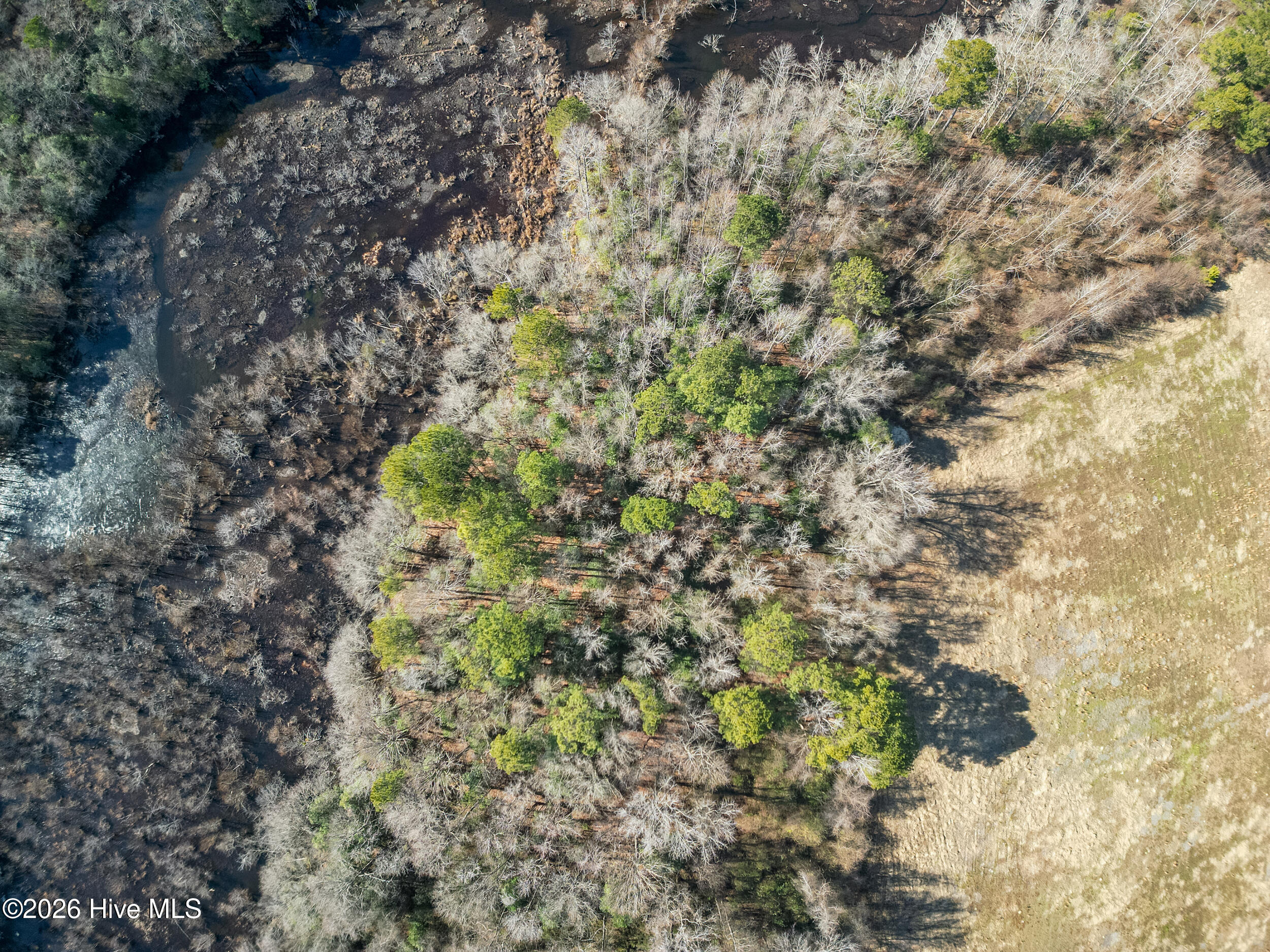 0 Lassiter Pond Road Four Oaks, NC 27524 - Photo 12 of 15 DJI_0911_pro_2550x1667