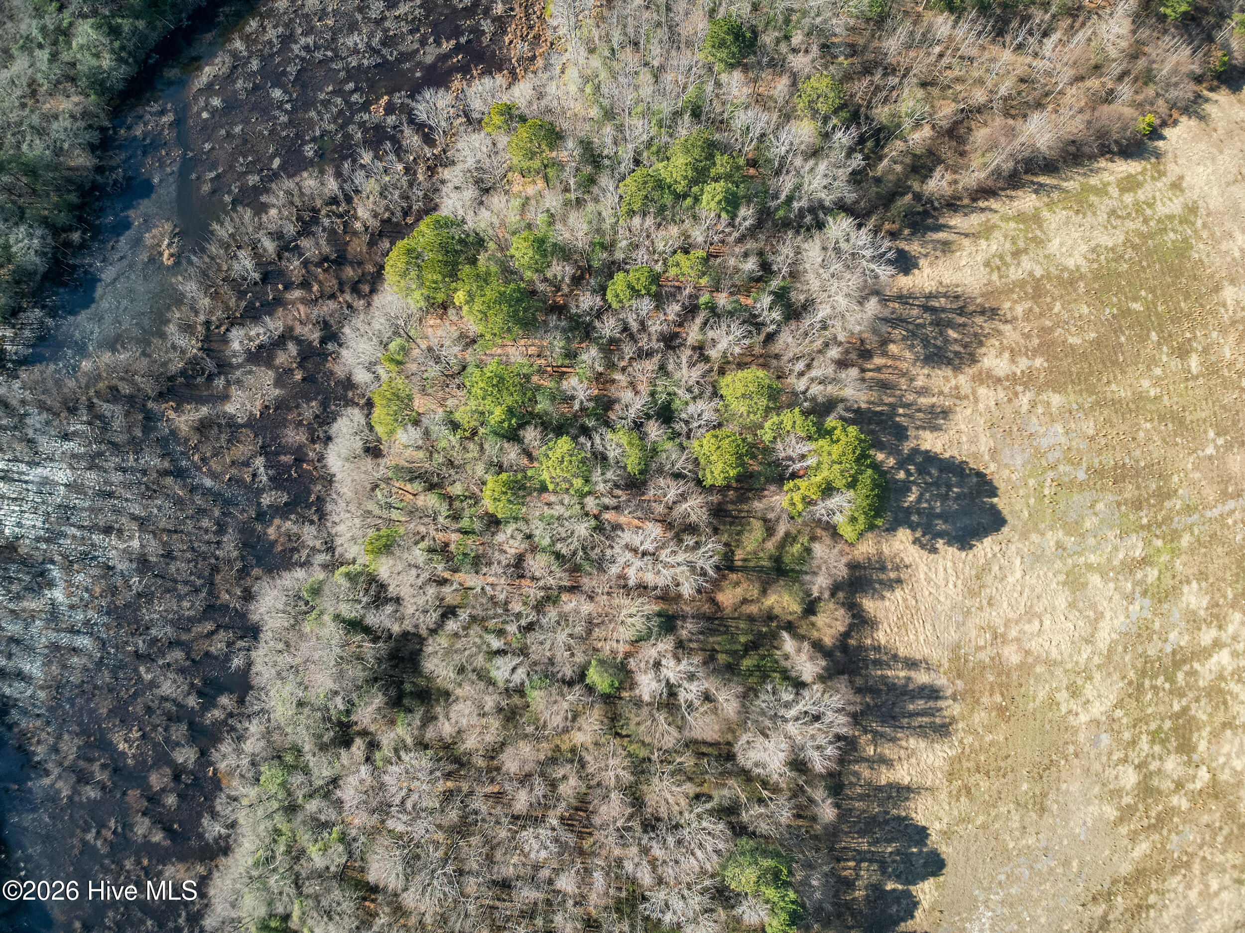 0 Lassiter Pond Road Four Oaks, NC 27524 - Photo 18 of 23 DJI_0909_pro_2550x1667