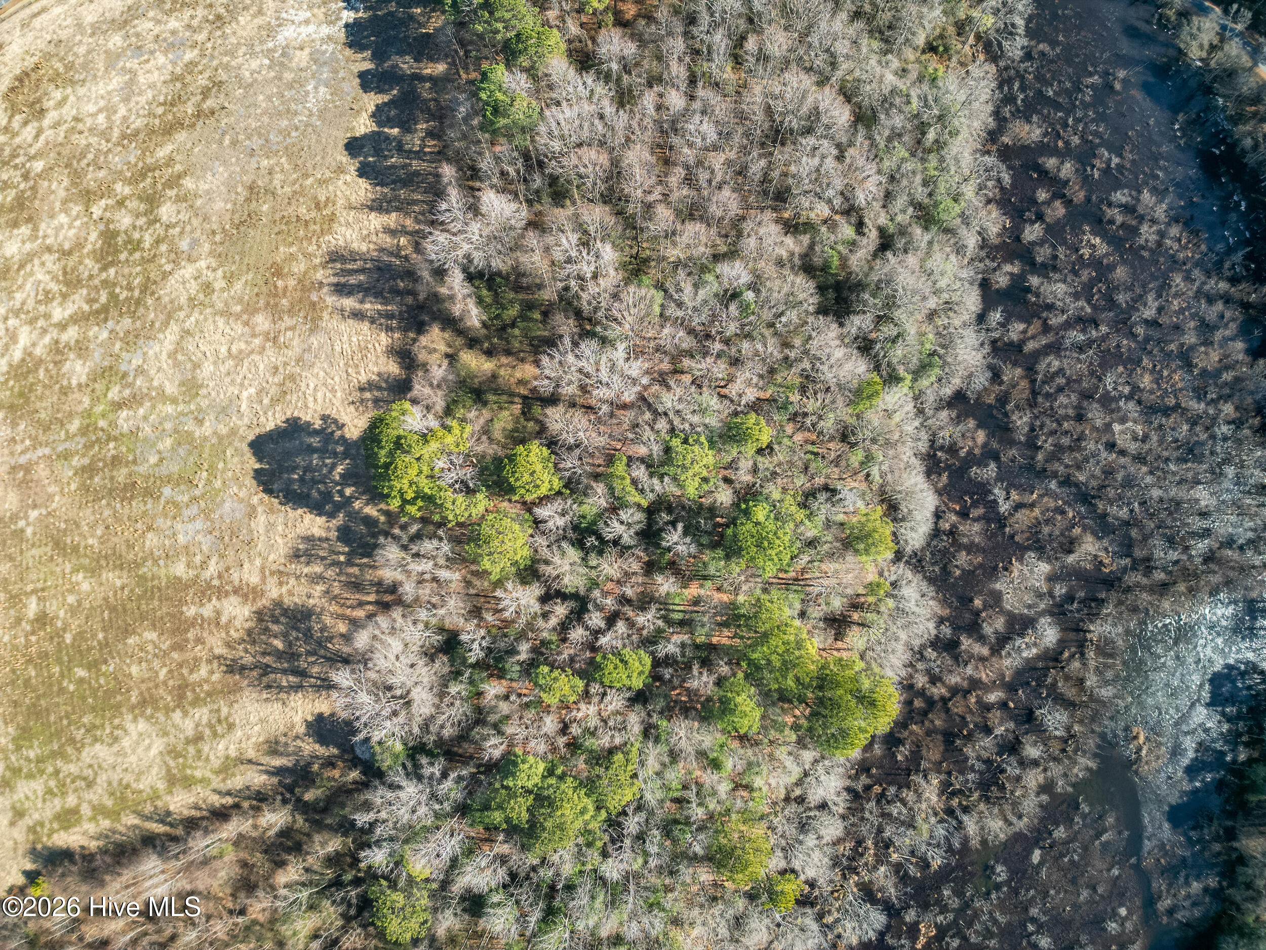 0 Lassiter Pond Road Four Oaks, NC 27524 - Photo 20 of 23 DJI_0913_pro_2550x1667
