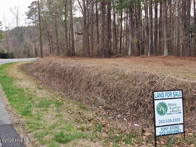 0 Lassiter Pond Road Four Oaks, NC 27524 - Photo 2 of 23 fo2