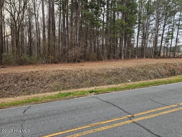 0 Lassiter Pond Road Four Oaks, NC 27524 - Photo 4 of 23 fo8