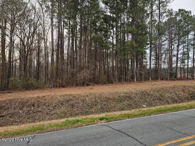 0 Lassiter Pond Road Four Oaks, NC 27524 - Photo 5 of 23 fo7