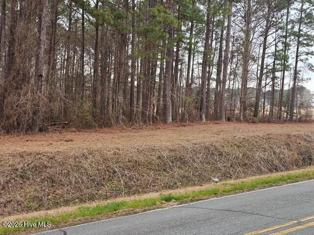 0 Lassiter Pond Road Four Oaks, NC 27524 - Photo 6 of 23 fo6