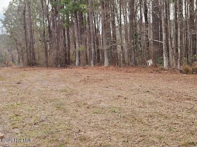 0 Lassiter Pond Road Four Oaks, NC 27524 - Photo 8 of 23 fo4