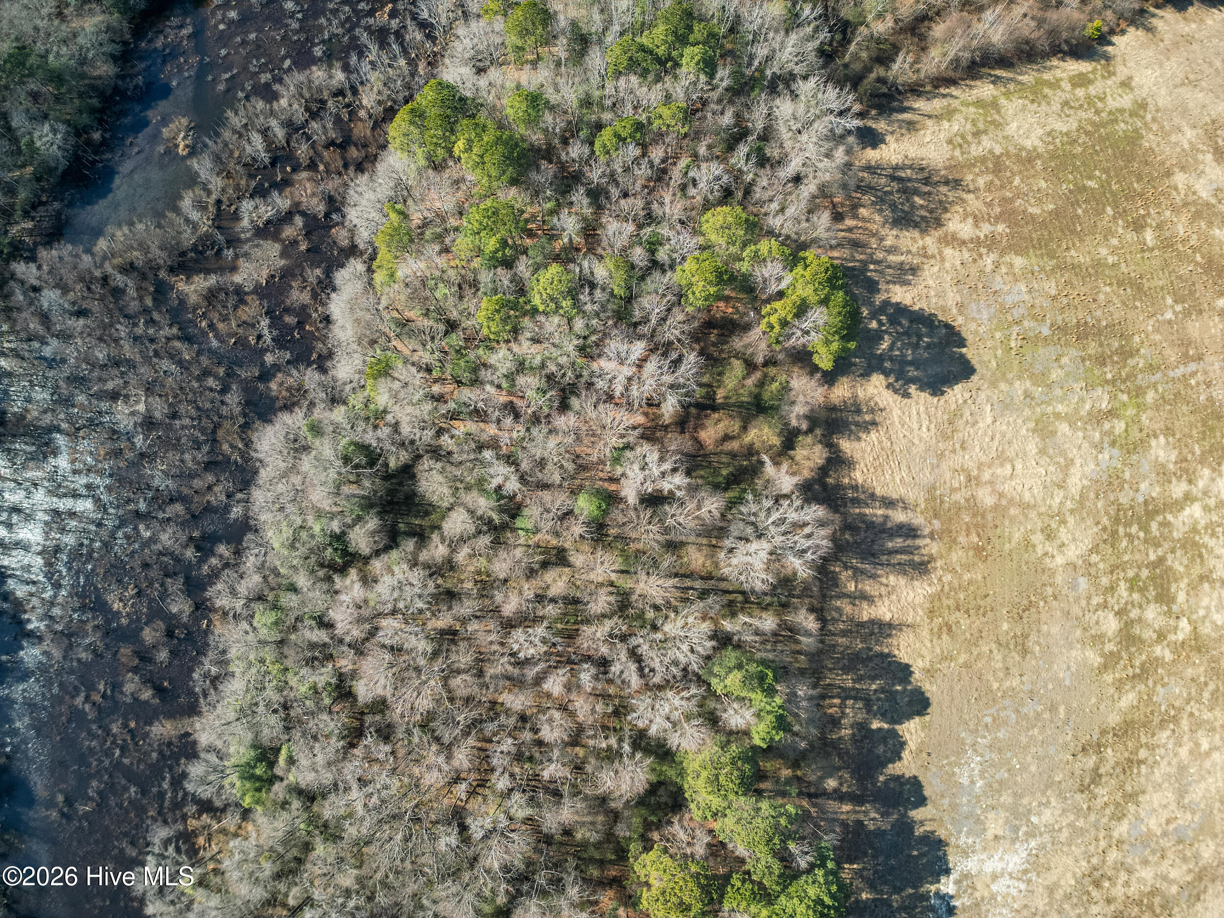0 Lassiter Pond Road Four Oaks, NC 27524 - Photo 9 of 15 DJI_0907_pro_2550x1667