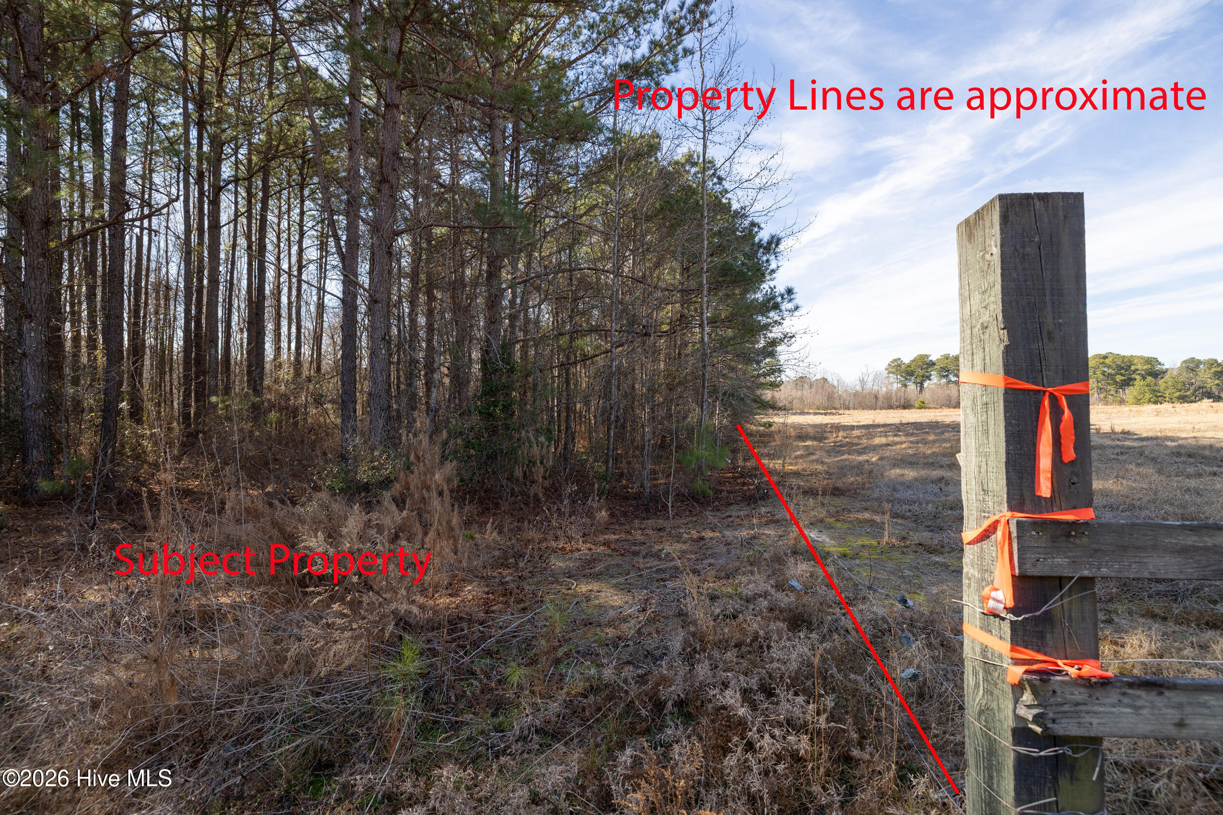 0 Lassiter Pond Road Four Oaks, NC 27524 - Photo 10 of 23 HN9A6345_pro2