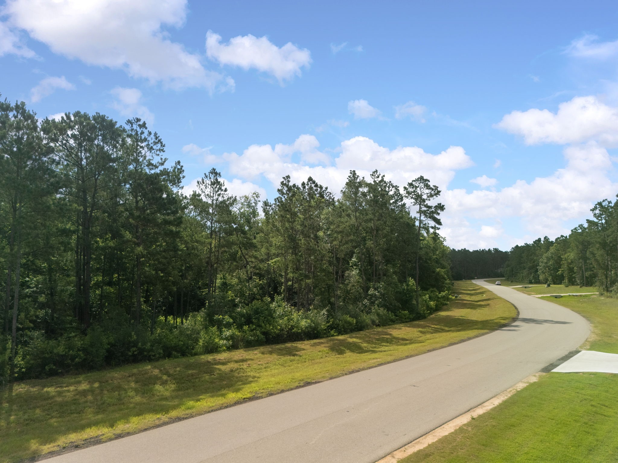 10751 Ruger Road Willis, TX 77378 - Photo 9 of 22 With paved road frontage, underground utilities, and fiber internet available, you’ll enjoy peaceful country living with modern comforts.