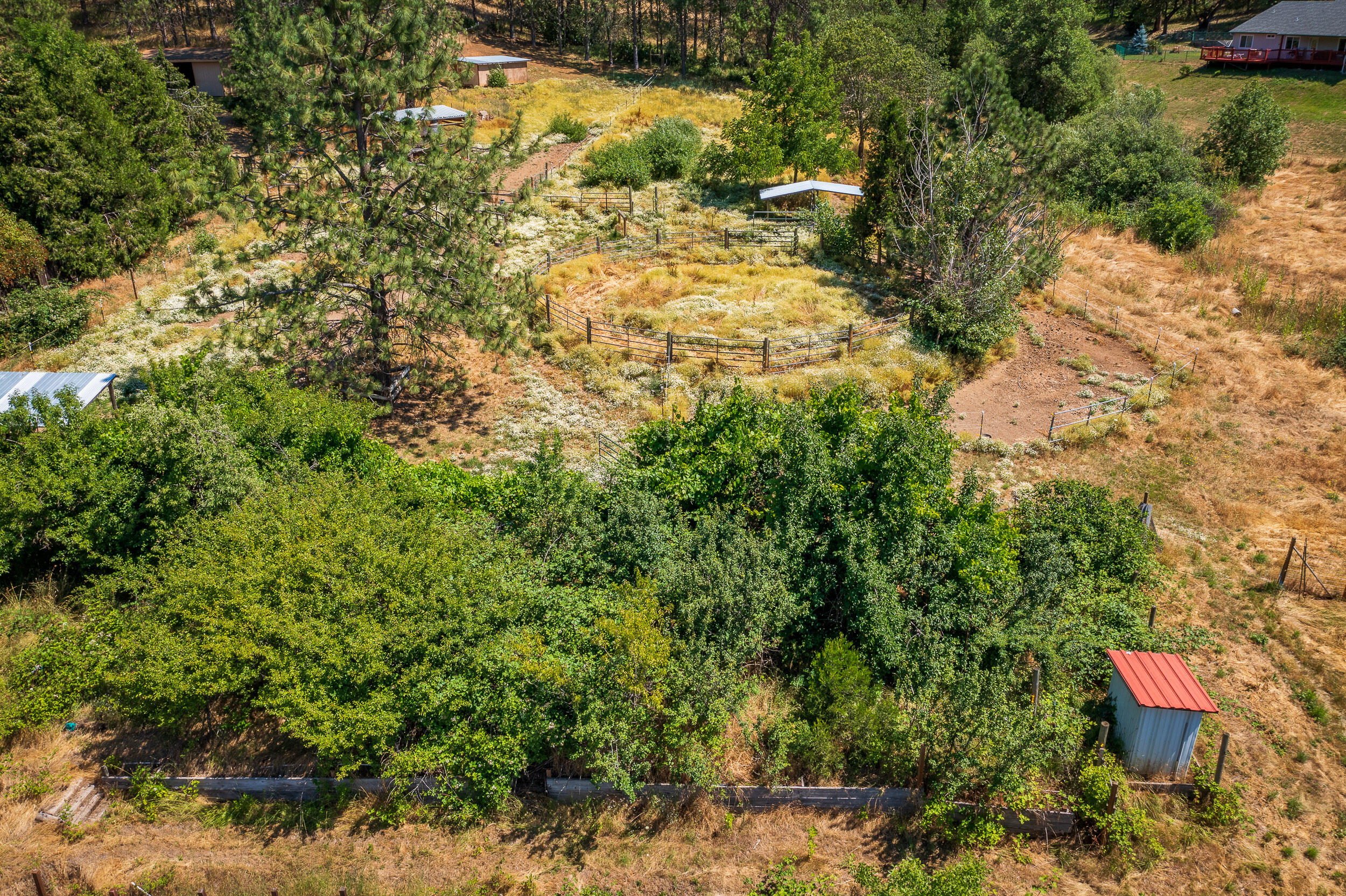 642 Wards Creek Road Rogue River, OR 97537 - Photo 42 of 46 642WardsCreekRd-045